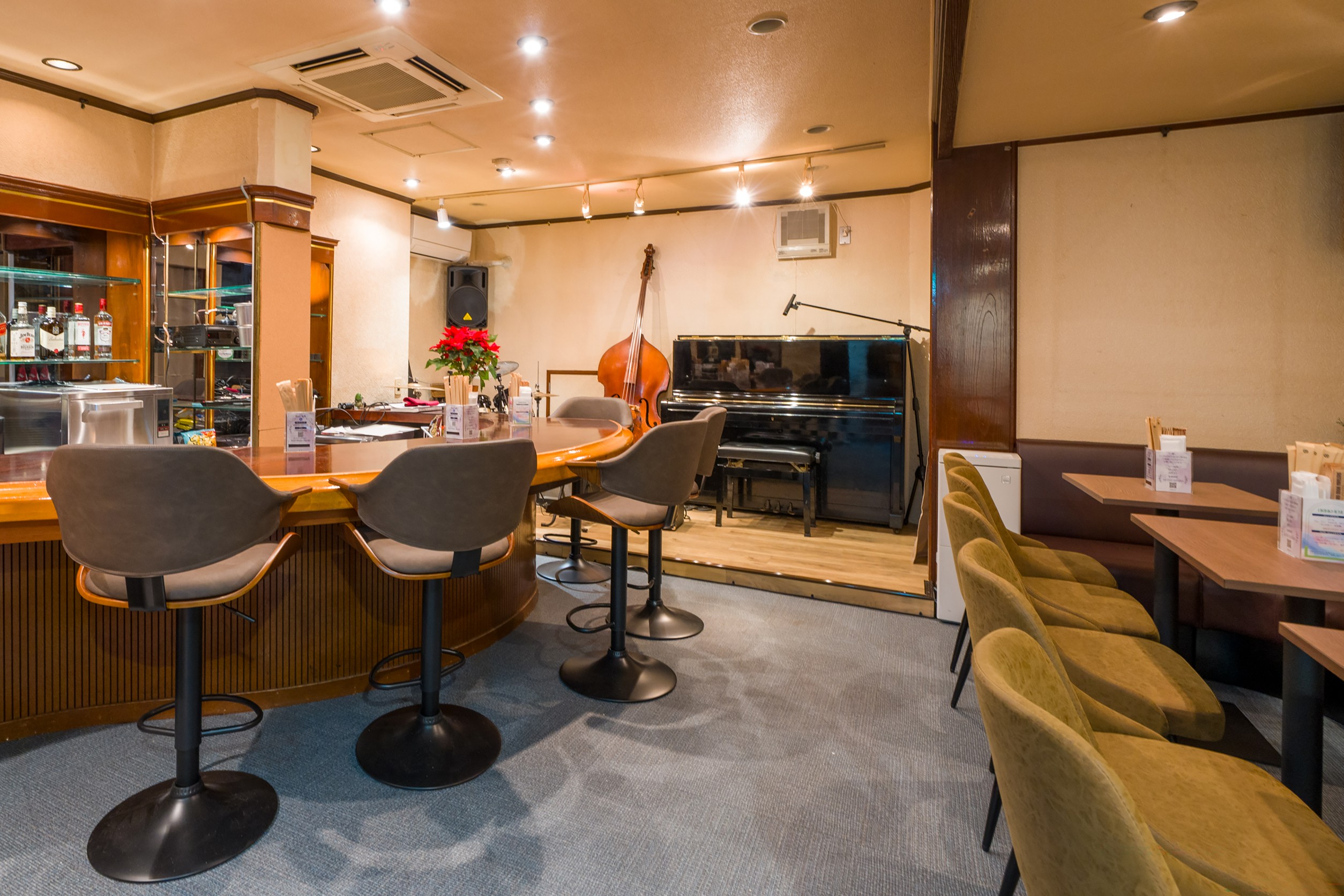 Live bar Swing Birds